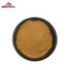 hot selling High quality Tongkat Ali Extract Powder 100% Natural Tongkat Ali root Extract Powder