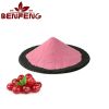 Best Quality cranberry fruit powder organic cranberry powder