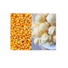 dried yellow corn popcorn white corn maize for human &amp; animals consumption 50kg bags 25tons 15day popcorn white corn