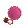 Fresh Organic 99% Mangosteen Powder Juice Powder Dried Mangosteen Powder