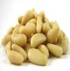 Raw and Roasted Pine Nuts 100% pine nuts with shell wholesale delicious kernel price  cedar pine nut kernel