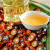 Olein CP8 Palm Oil Vegetable Cooking Oil