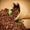 Elite Coffee Bean (Pre...