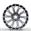 AUDI Rotor wheels