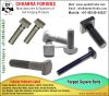 Square Bolts manufactu...