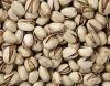 Good Quality Low Price Raw Salted Wholesale Pistachio Nuts Kernels For Sale