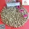 Robusta green coffee beans