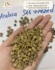 Arabica green coffee beans Vietnamese coffee beans