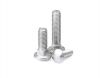 SS316 A4-70 DIN603 Round Head Square Neck Bolts