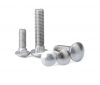 SS316 A4-70 Round Head Square Neck Bolts