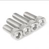 Stainless Steel Socket head Screws