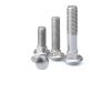 SS316 A4-70 DIN603 Round Head Square Neck Bolts