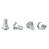 SS316 A4-70 Round Head Square Neck Bolts