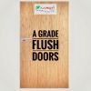 Flush doors