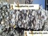 HDPE milk bottle scrap...