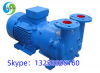 Vacuum Pump