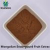 Mongolian Snakegourd Fruit Extract