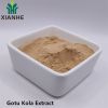 Gotu Kola Extract 