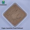 Cape Jasmine Fruit Extract 