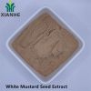 White Mustard Seed Extract 