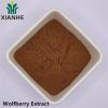 Wolfberry Extract 