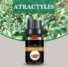 Atractylis oil