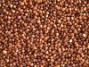 good quality red sorghum