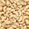 Cashew Nut