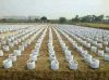 5 7 10 15 20 Gallon Handmade Ecofriendly Non-Woven Fabric Garden Felt Potato Grow Bag Plant Bag