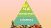 Sod superoxide dismutase
