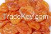 Selling Preserved apri...