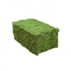 High Protein Alfalfa Hay Bales