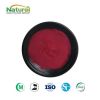 Red Beet Root Powder