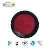 Freeze Dried Beetroot Powder