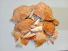 Dried blue-swimming crab shell for Chitin Chitosan Extraction Fertilizer