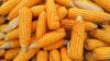 Deluxe Sweet Corn - Th...