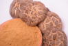 Shiitake mushroom extract in powder (50%polysaccharides)