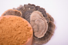 Turkey tail mushroom extract in powder (50%polysaccharides)