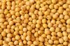 Soybeans