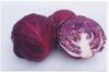 RED CABBAGE COLOR