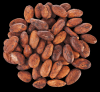 Balinese Cocoa Beans