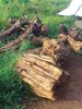 African Blackwood wood...