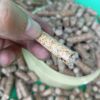 wood pellet