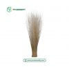 Palm Broom Stick