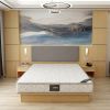 New Design Multi Color 5 Star Hotel Luxury Leather King Size Bed