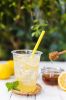 Paper Drinking Straws