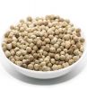 White Pepper