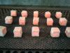 Coconut Shell Briquettes