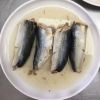 Canned Mackerel in Brine