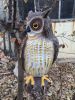 Bird Scaring Owl Decoy for pest bird control 